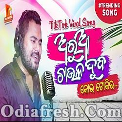 Arua Chaula Duba - Odia Tik Tok Viral Dance Song (Ashutosh Mohanty)